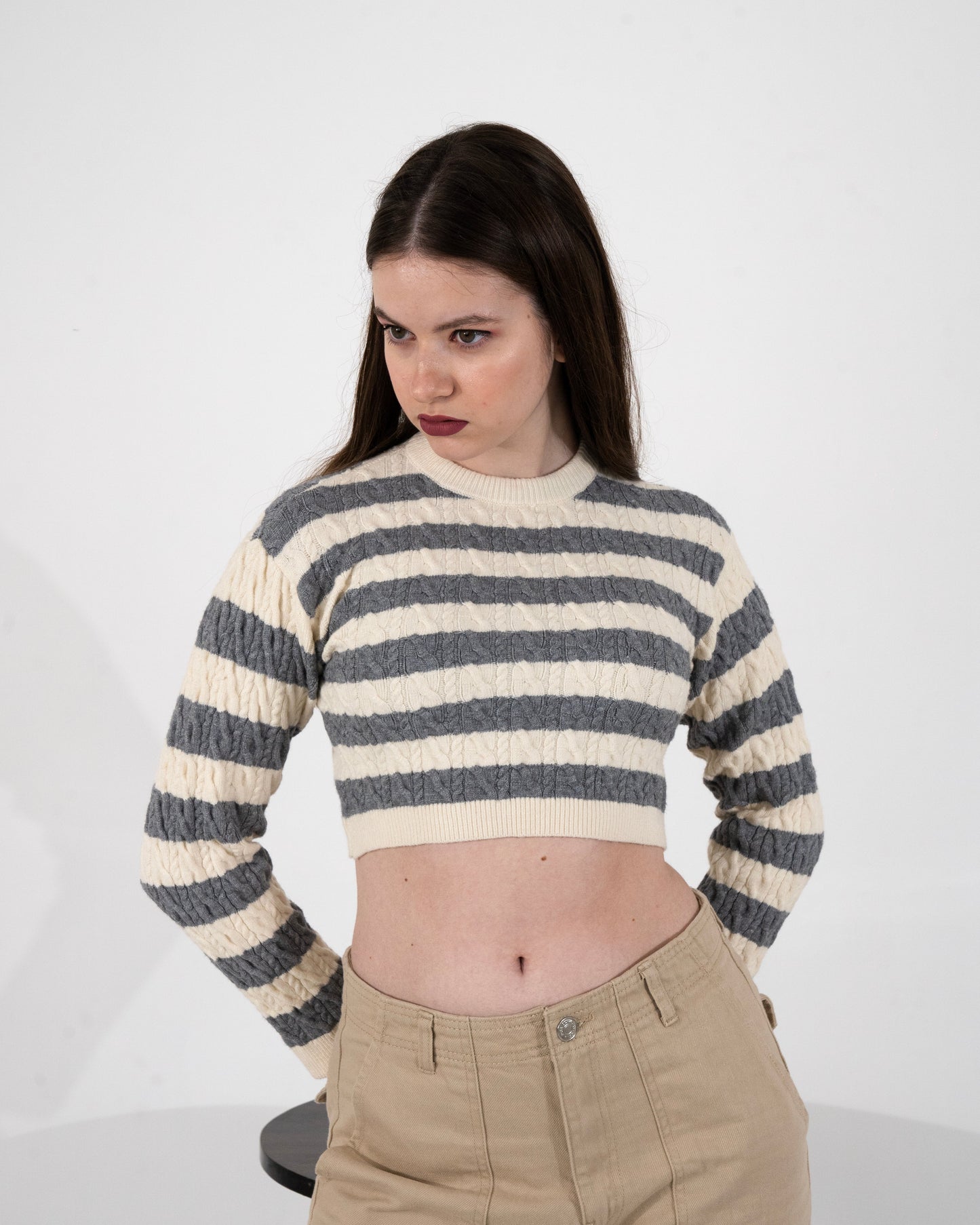 Neutral Chic Stripes Crop Top