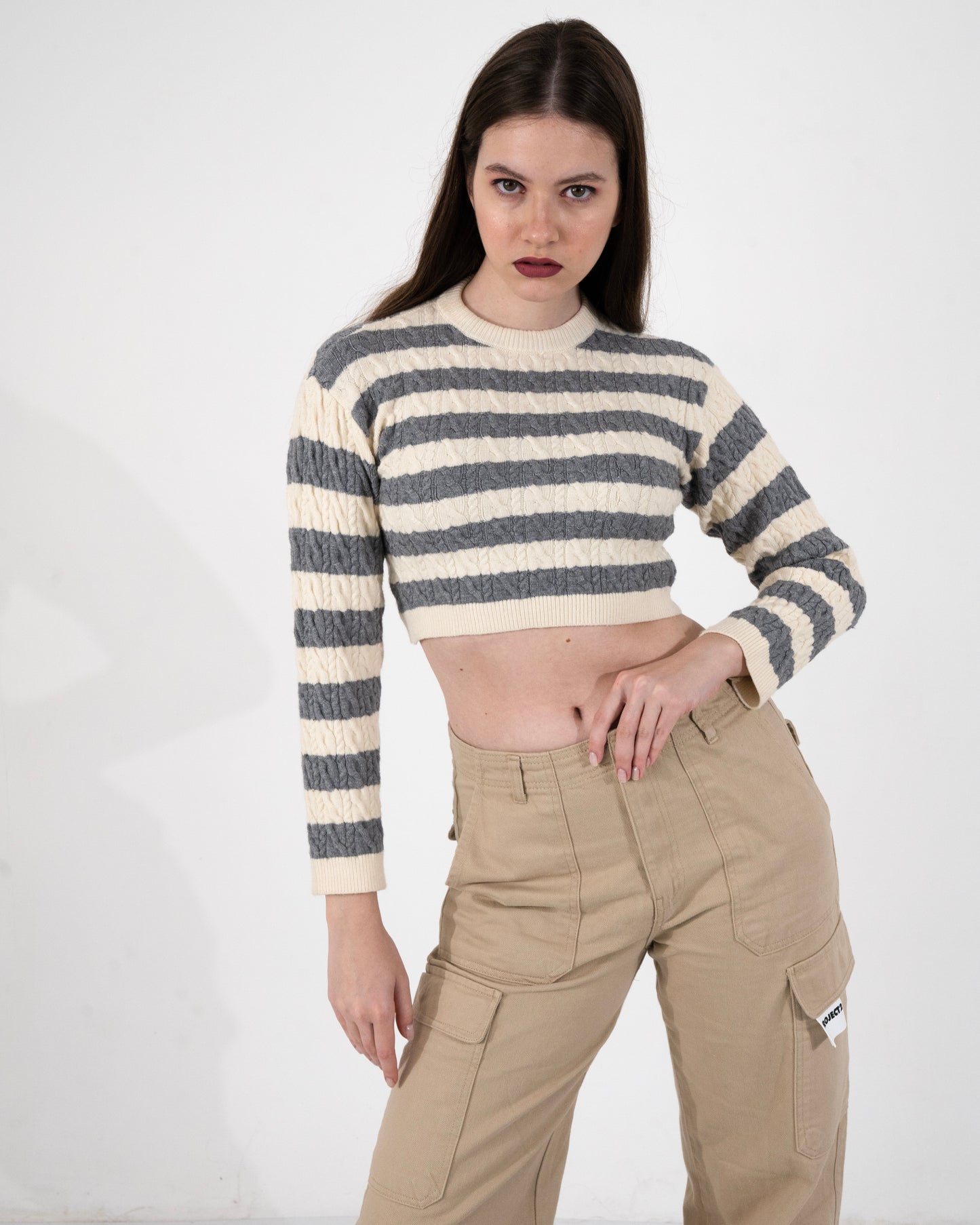 Neutral Chic Stripes Crop Top